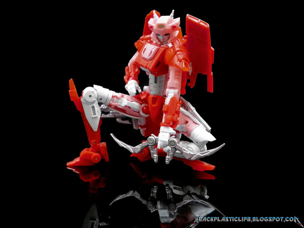 Mastermind Creations R09 Eupatorium   Pictorial Review  (15 of 21)